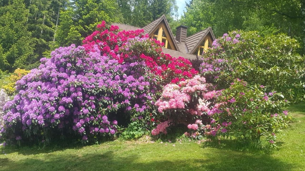 Chalet Bellevue Rogla Zreče Buitenkant foto