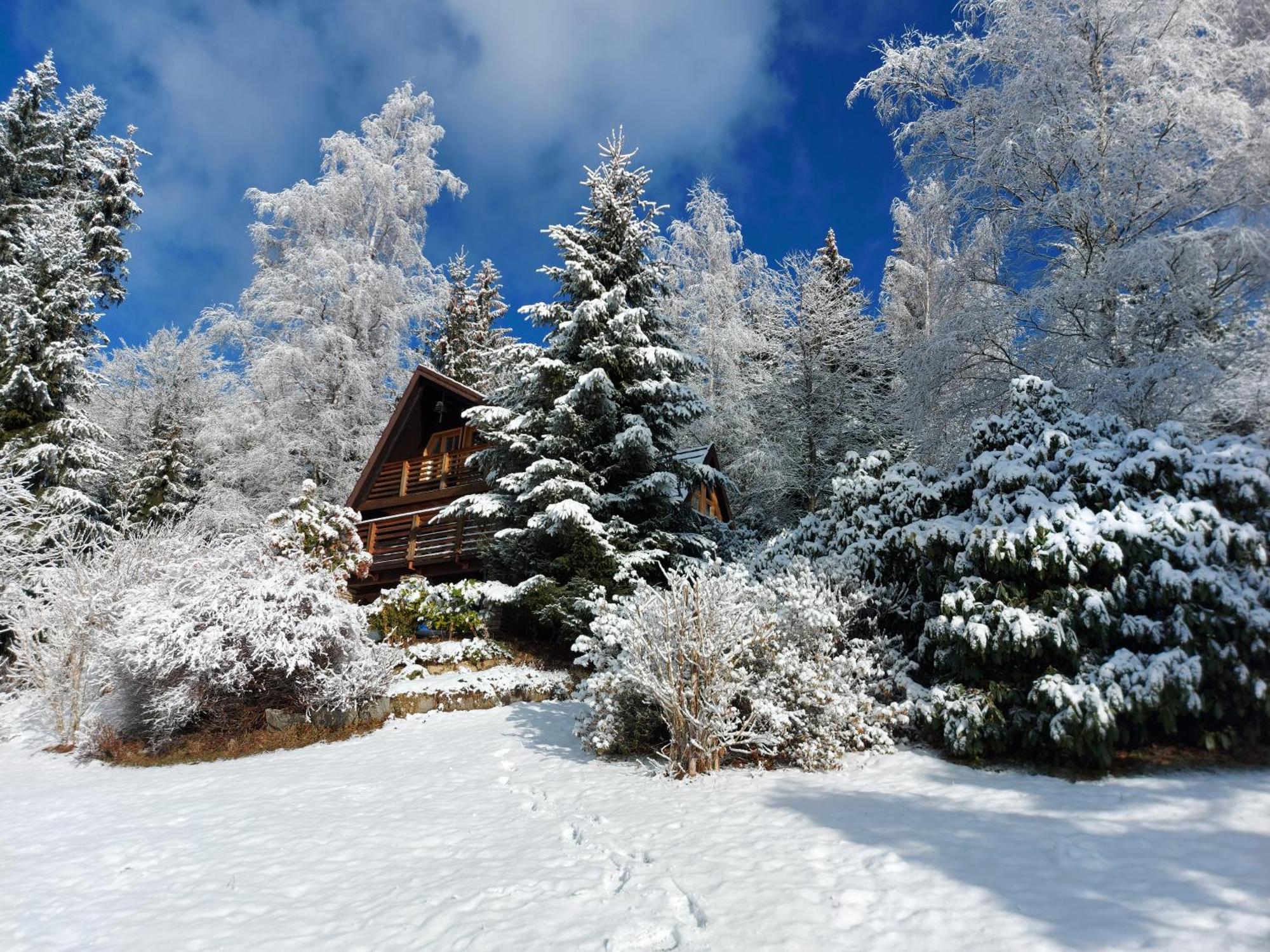 Chalet Bellevue Rogla Zreče Buitenkant foto